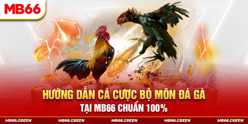 iwin chơi baccarat là gì
