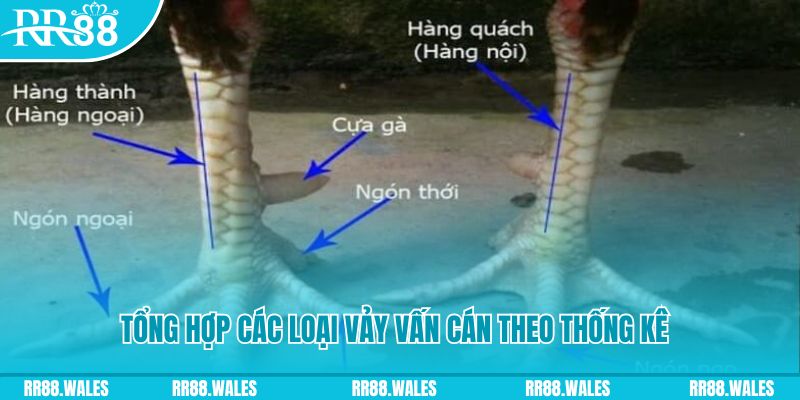 iwin casino hồ tràm có cho người việt vào không