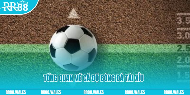 iwin đăng nhập roulette online