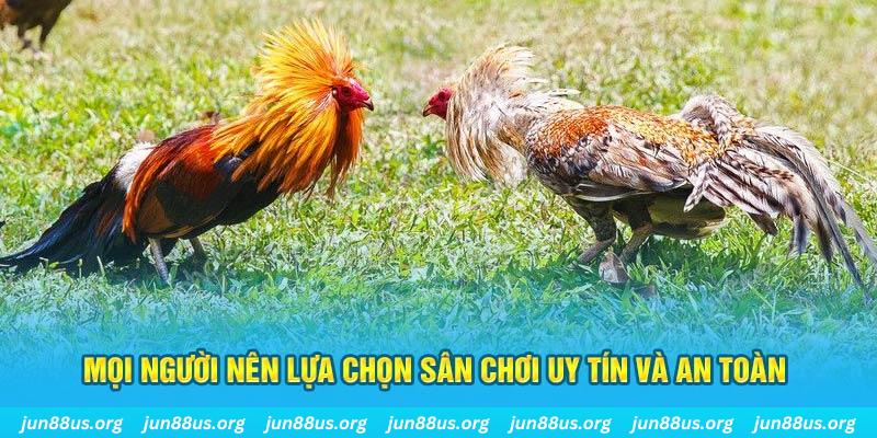 iwin Cỡ bảy