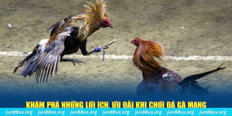 iwin đăng nhập liêng live